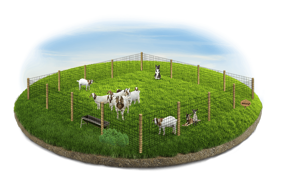 Farm Fence Contractor in Walton Kentucky